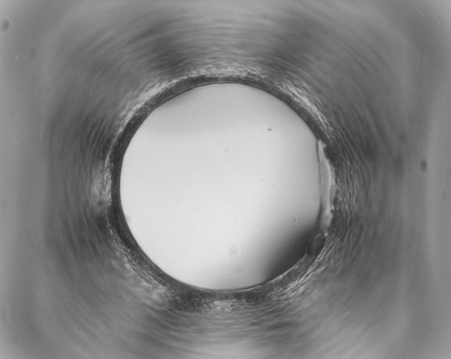 X0000086920584200705071330