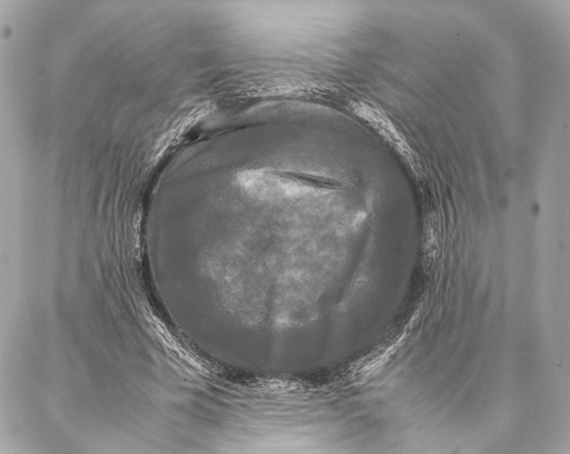 X0000086920585200705071330