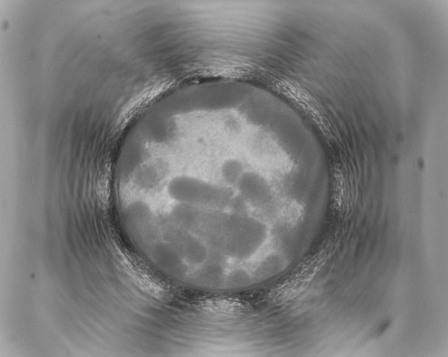 X0000086920586200705071330