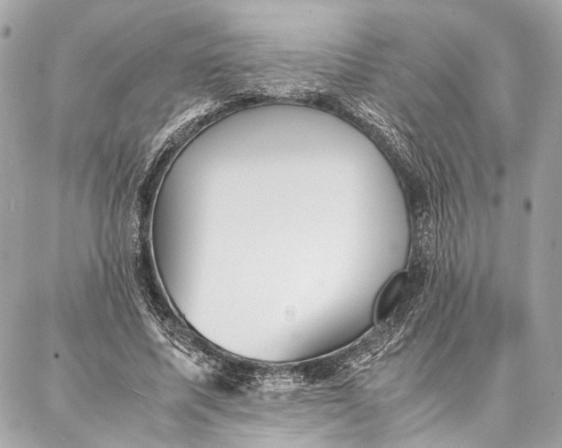 X0000086920587200705071330