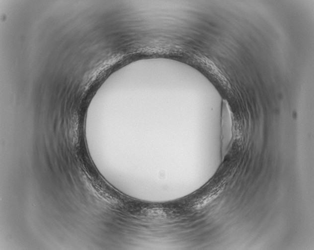 X0000086920588200705071330