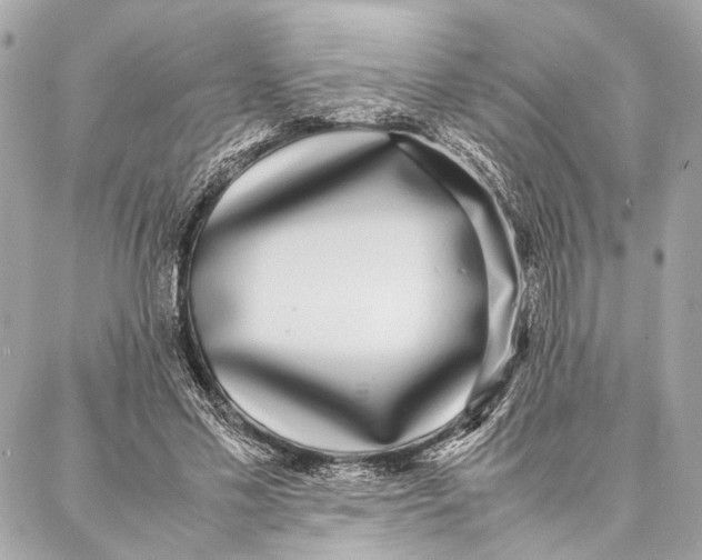 X0000086920589200705071330