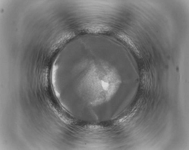 X0000086920590200705071330