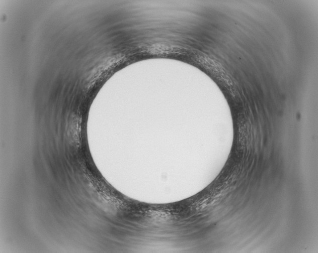 X0000086920592200705071330