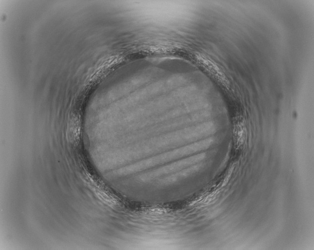 X0000086920593200705071330