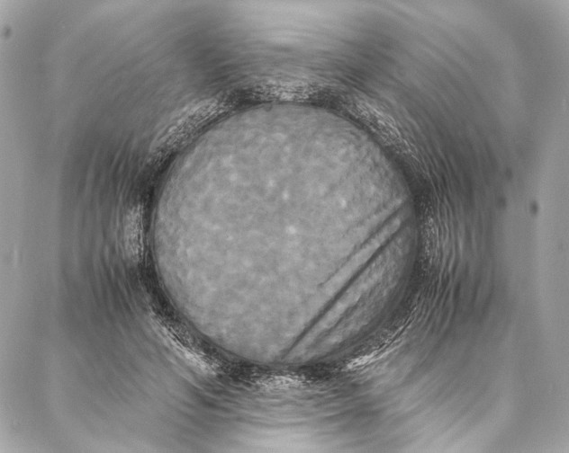 X0000086920594200705071330