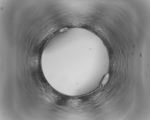 X0000086920595200705071330