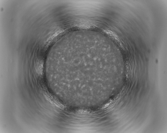 X0000086920596200705071330