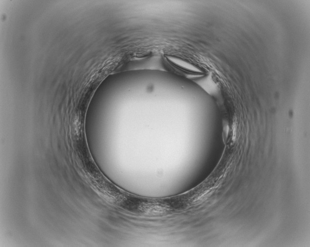 X0000086920597200705071330