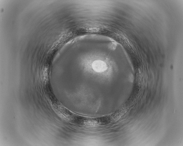 X0000086920598200705071330