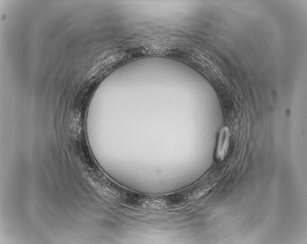 X0000086920599200705071330