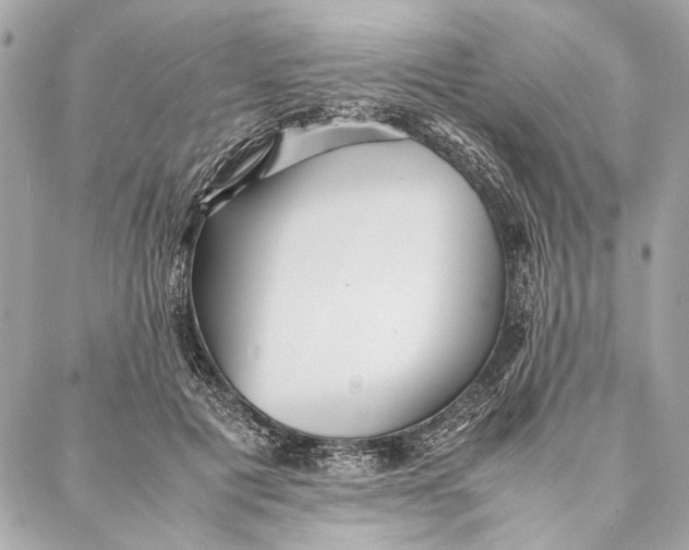 X0000086920601200705071330