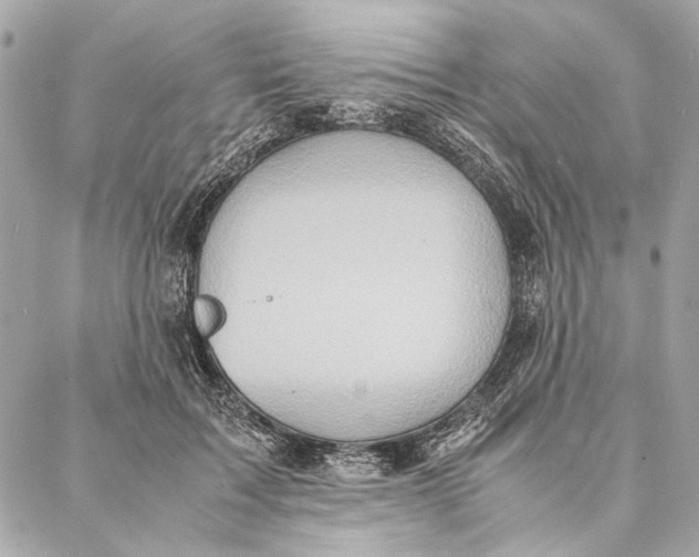 X0000086920603200705071330