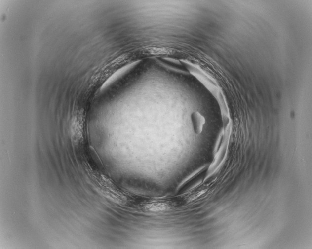 X0000086920604200705071330