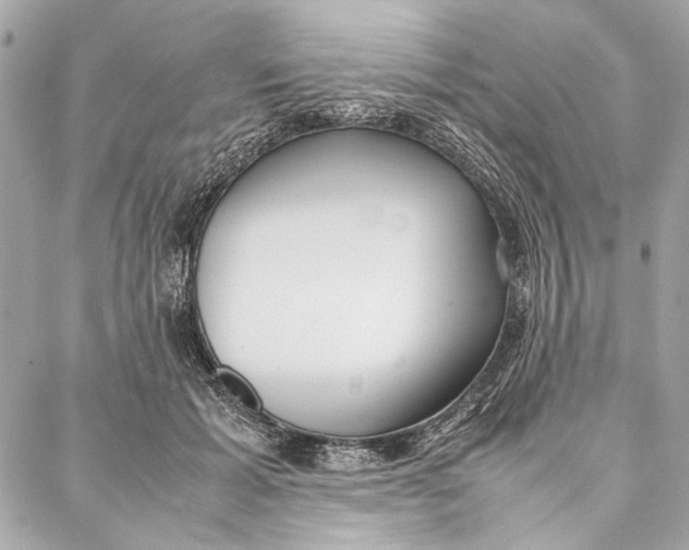 X0000086920605200705071330