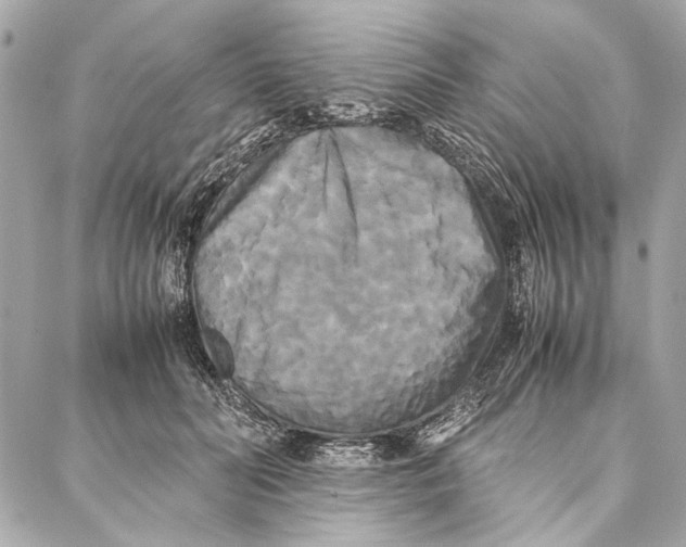 X0000086920606200705071330