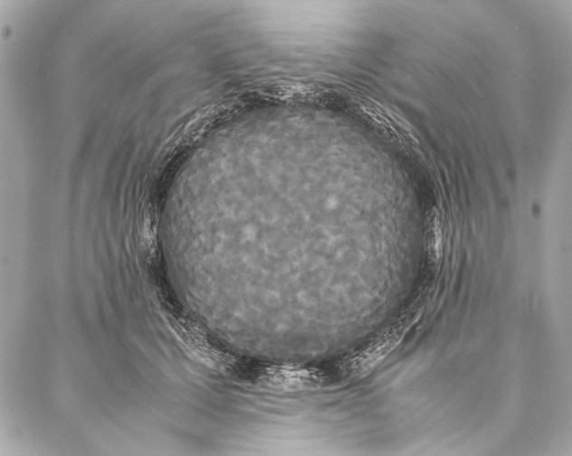 X0000086920607200705071330