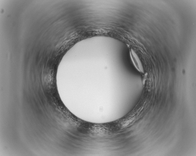 X0000086920608200705071330