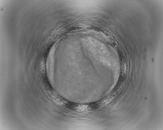 X0000086920609200705071330