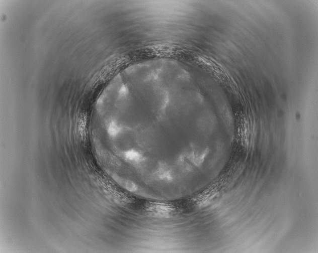 X0000086920610200705071330