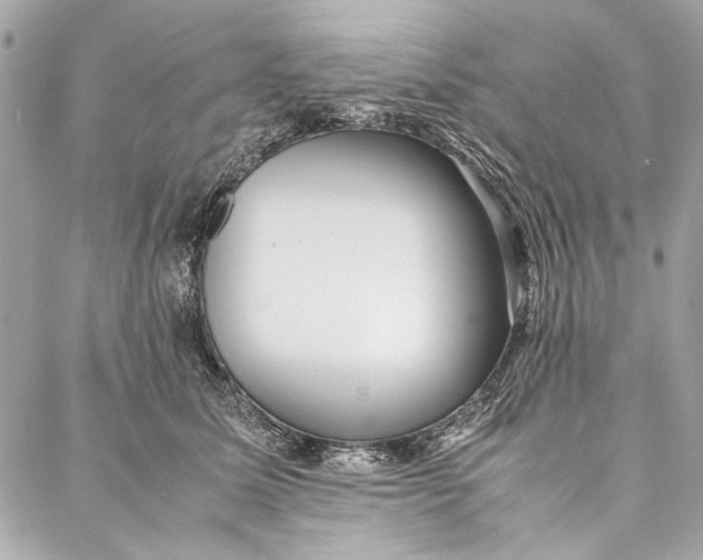 X0000086920611200705071330