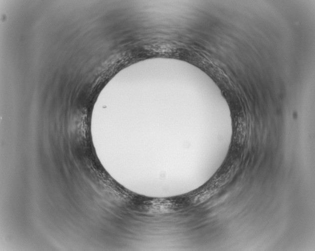 X0000086920612200705071330