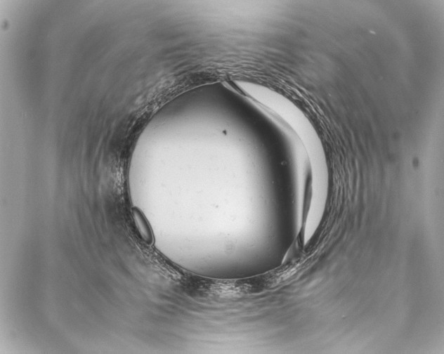 X0000086920613200705071330