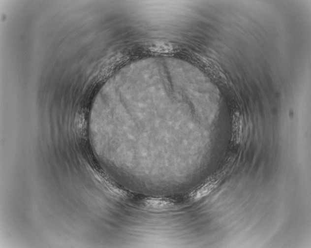 X0000086920614200705071330