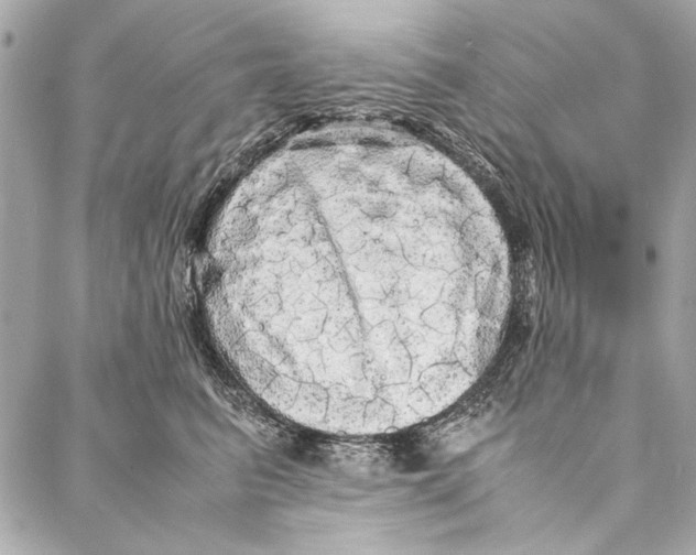 X0000086920615200705071330