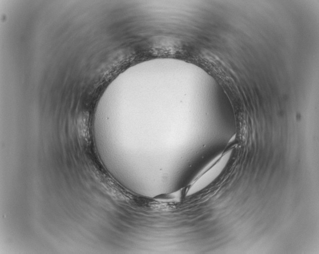 X0000086920616200705071330