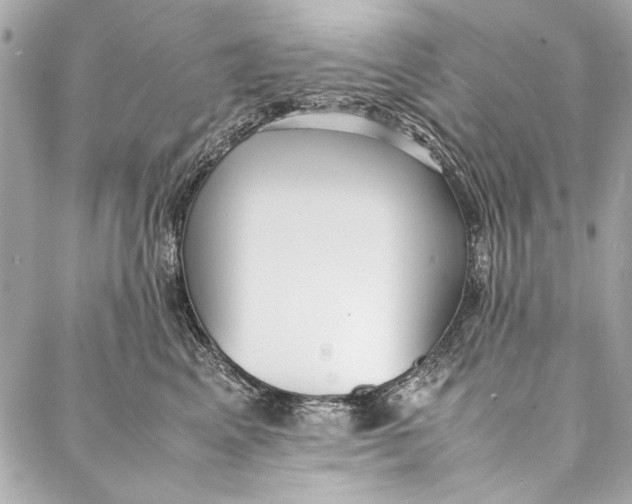 X0000086920617200705071330