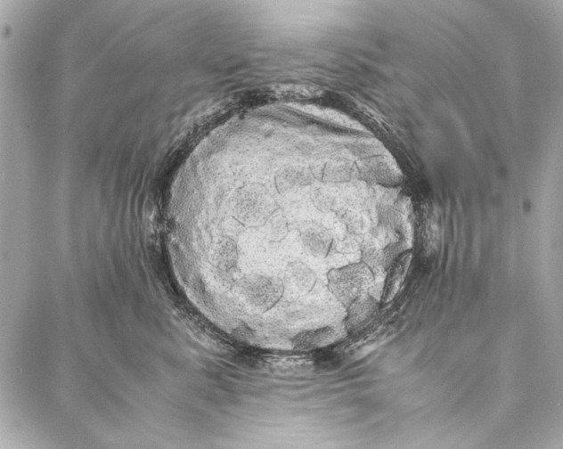 X0000086920619200705071329