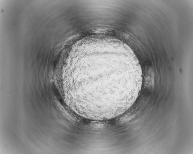 X0000086920620200705071329