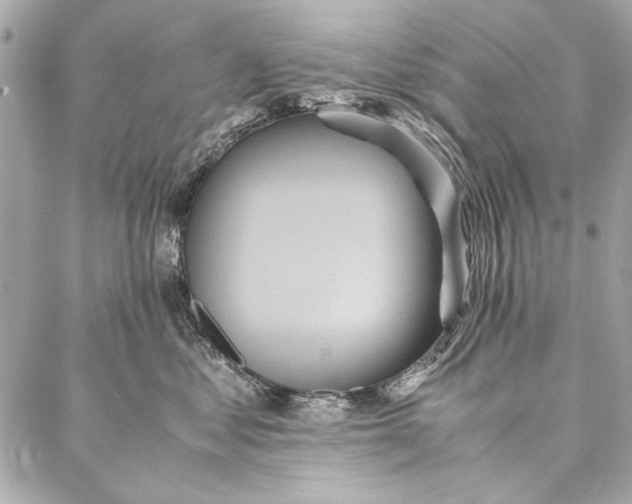 X0000086920621200705071329