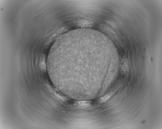 X0000086920622200705071329