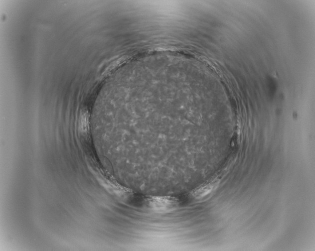 X0000086920623200705071329