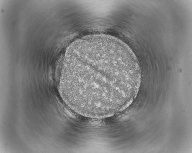 X0000086920624200705071329