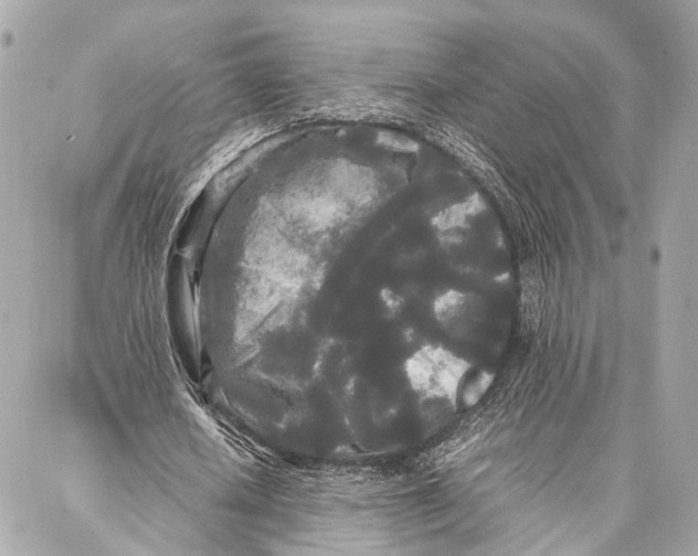 X0000086920626200705071329