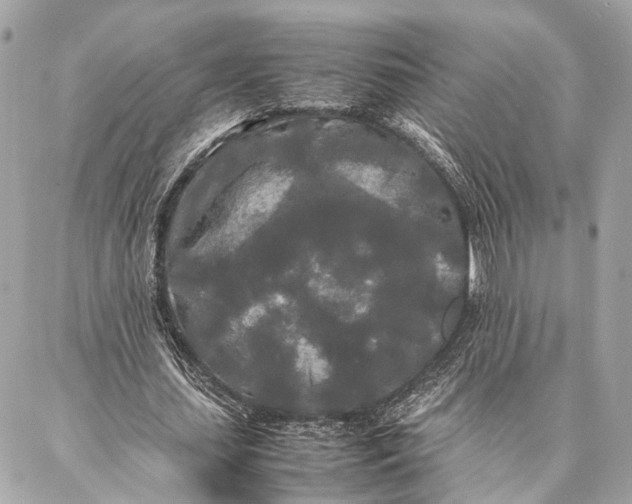 X0000086920627200705071329