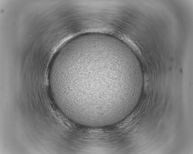 X0000086920628200705071329