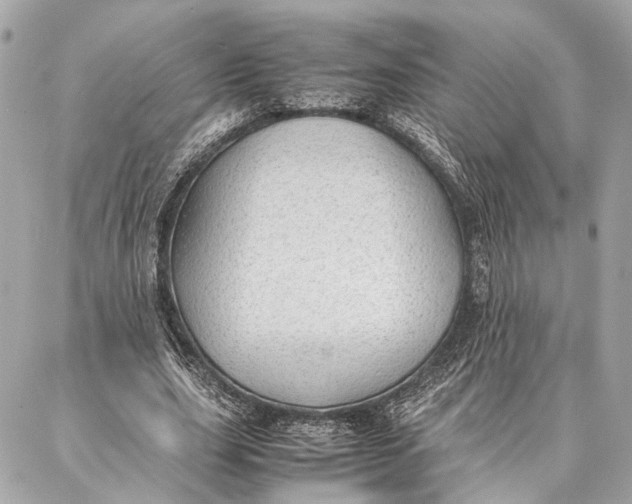 X0000086920631200705071329