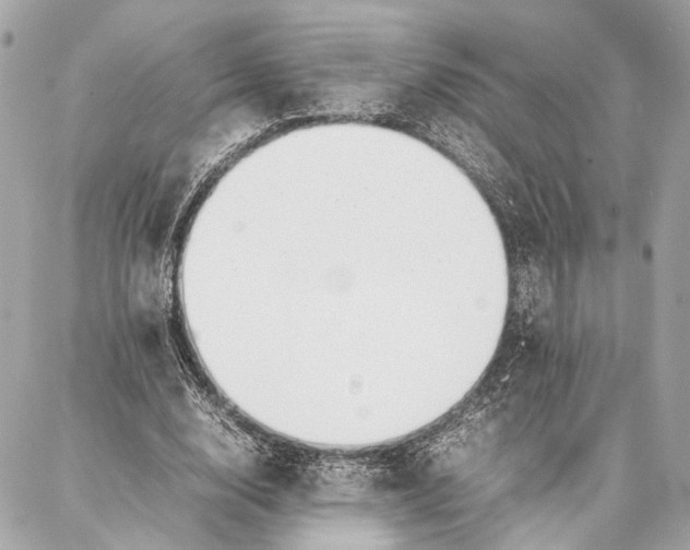 X0000086920632200705071329