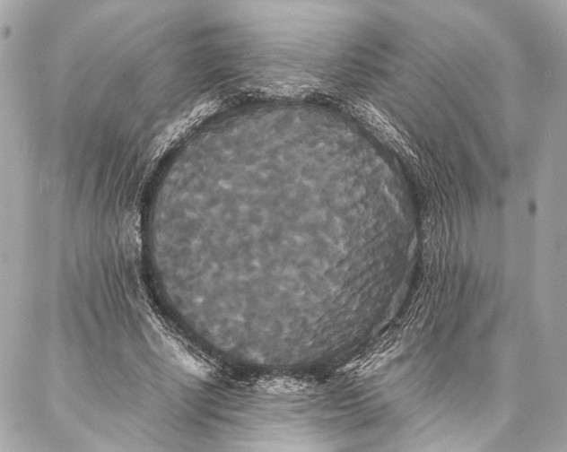 X0000086920634200705071329