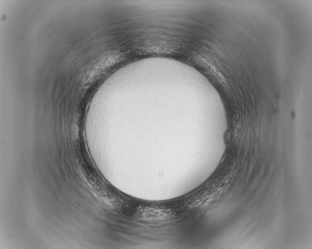 X0000086920635200705071329