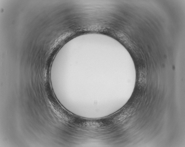 X0000086920636200705071329