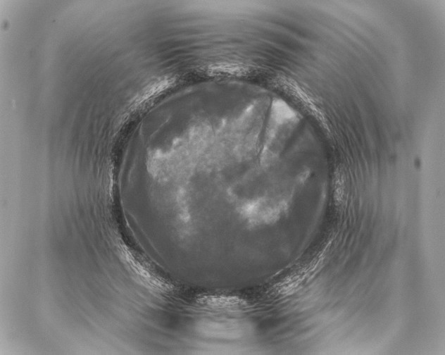 X0000086920637200705071329