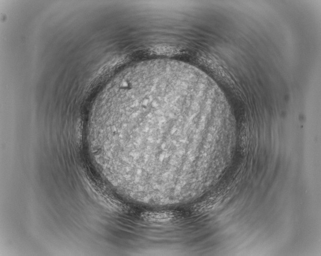 X0000086920639200705071329