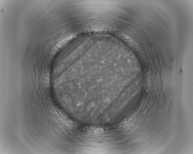 X0000086920640200705071329