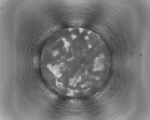 X0000086920641200705071329