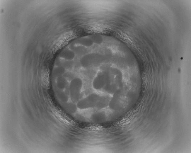 X0000086920642200705071329